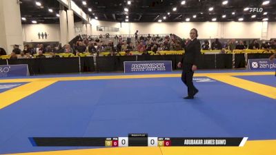 Abubakar James Bawo vs Karim Hatem Aly Ezzat Aly 2025 World IBJJF Jiu-Jitsu No-Gi Championship