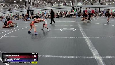 64 lbs Placement (4 Team) - Reagan Brown, PA West Yellow vs Honor Pluchino, Validus WC