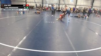 Elite 141 lbs Cons. Round 5 - Dom Vinci, Cortland State vs Cael Bridgewater, Upper Iowa