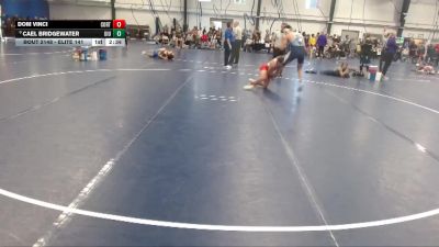 Elite 141 lbs Cons. Round 5 - Dom Vinci, Cortland State vs Cael Bridgewater, Upper Iowa