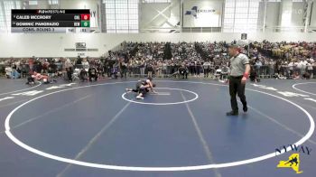 112 lbs Cons. Round 3 - Dominic Pangrazio, Revolution Elite Wrestling vs Caleb McCrory, Club Not Listed