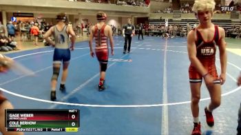 120 lbs Semifinal - Gage Weber, Detroit Lakes vs Cole Berhow, Brainerd