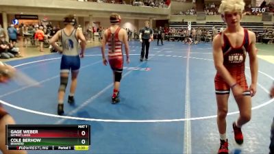 120 lbs Semifinal - Gage Weber, Detroit Lakes vs Cole Berhow, Brainerd