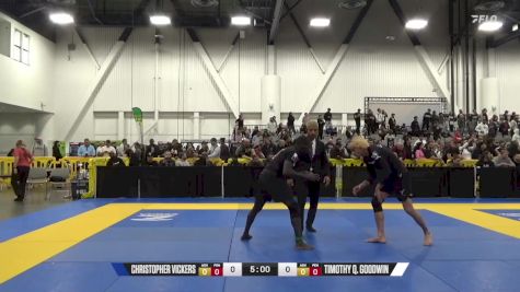 Timothy Q. Goodwin vs CHRISTOPHER VICKERS 2024 World IBJJF Jiu-Jitsu No-Gi Championship