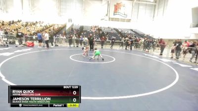 67 lbs Cons. Round 2 - Jameson Terrillion, Beaver River Youth Wrestling vs Ryan Quick, Wayne Wrestling Club