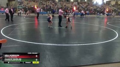 65 lbs Cons. Round 1 - Maddox Quinlan, Blackman Wrestling Club vs Aria Morrison, Warfare Wrestling