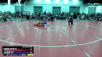 110 lbs Placement Matches (16 Team) - Jakob Castillo, California vs Landon Lill, New Jersey