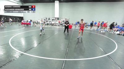 138 lbs Dominic Cordero, Tennessee Freestyle vs Alexander Bermudez, Arizona