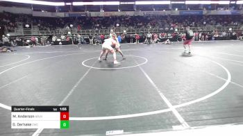 163 lbs Quarterfinal - Michael Anderson, Arlington vs Gunnar Derhake, Champions Wrestling Club