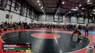 100 lbs Semis (4 Team) - Ethan Halstead, DARKHORSE WRESTLING CLUB vs Adam Walker, RAW