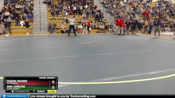 165 lbs Champ. Round 1 - Mason Teaser, MS-Mankato vs Erik Darling, Cloud County