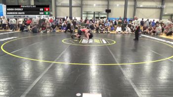 171 lbs Round Of 16 - Aiden Overly, New Florence vs Jameson Mays, Hanover