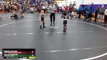 50 lbs Cons. Round 3 - Prince Collins, West Wateree Wrestling Club vs Kellen Bushaw, Carolina Reapers