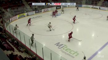 Replay: Home - 2024 Cougars vs Leamington | Nov 7 @ 7 PM