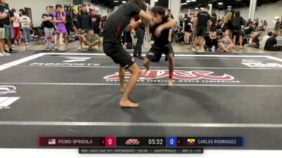 Pedro Spindola vs Carlos Rodriguez 2025 ADCC Miami Open