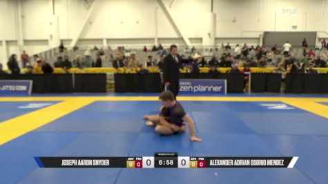 Alexander Adrian Osorio Mendez vs Joseph Aaron Snyder 2025 World IBJJF Jiu-Jitsu No-Gi Championship