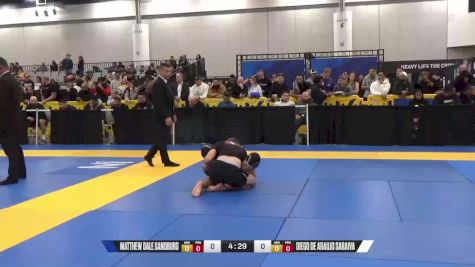 Diego De Araujo Saraiva vs Matthew Dale Sandburg 2024 World IBJJF Jiu-Jitsu No-Gi Championship