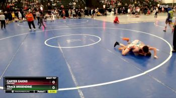 132 lbs Cons. Semi - Trace Brisendine, Holly vs Carter Eakins, Con Kids