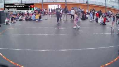 75 lbs Round 1 (4 Team) - Cali Anderson, Team Palmetto Purple vs Charleigh Richardson, Georgia United