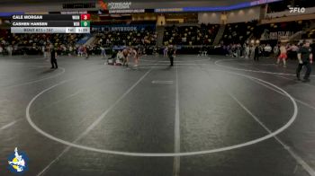 157 lbs Cons. Round 2 - Cashen Hansen, Waverly-Shell Rock vs Cale Morgan, Wilmot Union