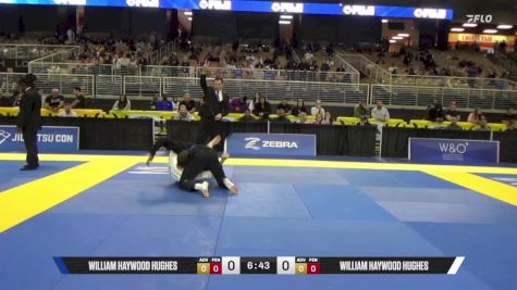 William Haywood Hughes vs Ademola David Odusanya 2025 Pan Jiu Jitsu IBJJF Championship
