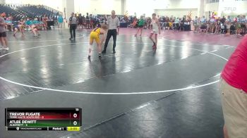 113 lbs Round 4 (10 Team) - Atlee Dewitt, Alburnett vs Trevor Fugate, Terre Haute South Red