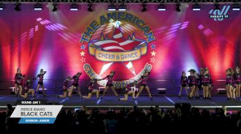 Fierce Idaho - Black Cats [2024 L3 Junior Day 1] 2024 The American Northwest Portland Nationals