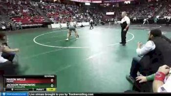 D1-220 lbs Semifinal - Jackson Mankowski, Madison La Follette vs Mason Wells, Pulaski