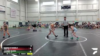 96 lbs Finals (2 Team) - Gianna D`Angelo, Forge vs Camden Olson, 84 Athletes