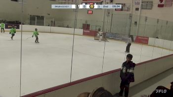 Replay: Home - 2024 SS Kings U12 vs Waterloo U12 | Nov 30 @ 5 PM