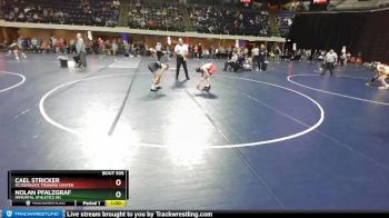 95 lbs Cons. Round 3 - Cael Stricker, McDominate Training Center vs Nolan Pfalzgraf, Immortal Athletics WC