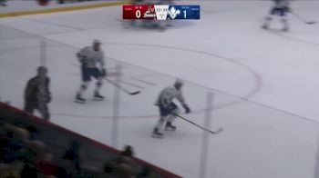 Replay: Home - 2025 Adirondack vs Trois-Rivières | Jan 5 @ 3 PM