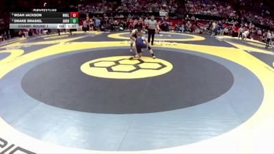 D1-157 lbs Champ. Round 1 - Noah Jackson, Moeller vs Drake Brasiel, Aurora