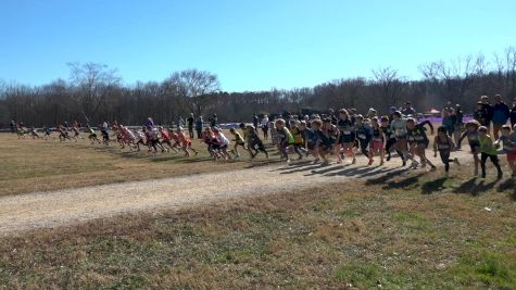 2025 Brooks South 10 & Under Mixed 3K