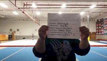 Wild All Stars - Sassy Cats [L1 Tiny] 2021 Varsity All Star Winter Virtual Competition Series: Event IV