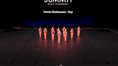 Dancin Bluebonnets - Tiny [2021 Tiny Pom Finals] 2021 The Dance Summit