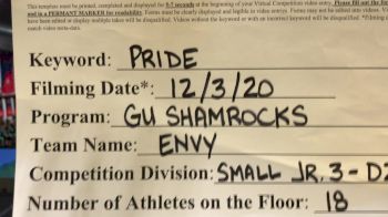 GU Shamrocks - Envy [L3 Junior - D2] 2020 WSF All Star Cheer & Dance Virtual Championship