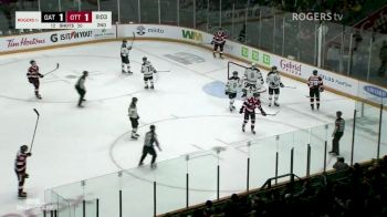 Stanchion Falls To The Ice During Play In OHL-QMJHL Crossover Game