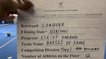 East Celebrity Elite - CT - Babies of Fame [L1 Tiny - Non-Building] 2021 Varsity All Star Winter Virtual Competition Series: Event V