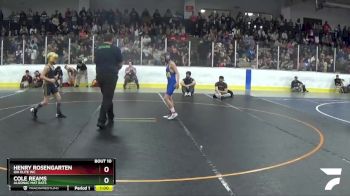 82 lbs Semifinal - Cole Reams, Algonac Mat Rats vs Henry Rosengarten, Ida Elite WC