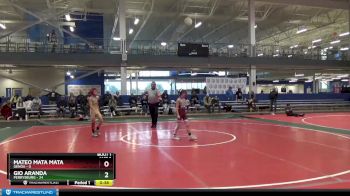 65 lbs Finals (2 Team) - Gio Aranda, Perrysburg vs Mateo Mata Mata, Genoa