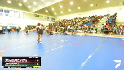 130 lbs Cons. Round 3 - Penelope Pepperdine, Rancho Bernardo Wrestling Club vs Chloe Pearce, Rancho Bernardo Wrestling Club