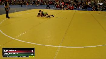 100 lbs Quarterfinal - Luke Johnson, ANML vs Arlo Ascheman, Minneota