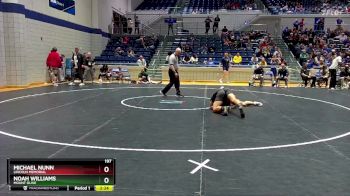 197 lbs Cons. Round 3 - Michael Nunn, Lincoln Memorial vs Noah Williams, Mount Olive