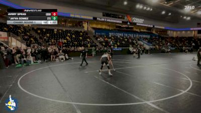 110 lbs Champ. Round 1 - Jayva Gomez, South Tama vs Avery Speas, Central DeWitt