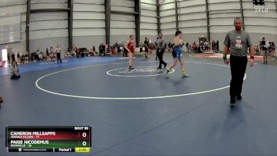 164 lbs Quarterfinal - Paige Nicodemus, Boonville vs Cameron Millsapps, Virginia Killers