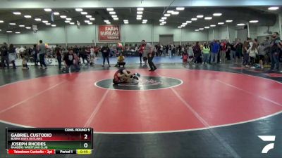 Vawa wrestling 2024