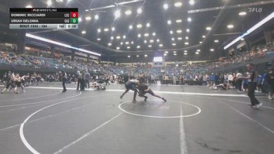 184 lbs Cons. Round 2 - Dominic Ricciardi, Labette Community College vs Uriah Delonia, Carl Albert State