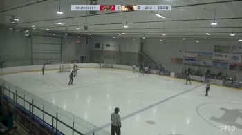 Replay: Home - 2024 Wild U18 AAA vs Pembina U18 AAA | Jan 28 @ 1 PM