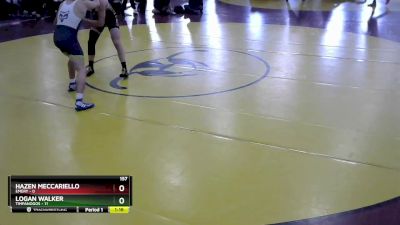 157 lbs Round 3 (8 Team) - Hazen Meccariello, Emery vs Logan Walker, Timpanogos